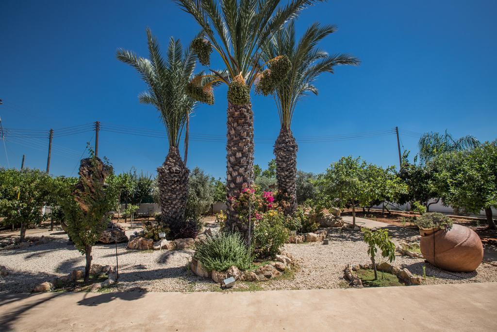 Papas Family Villa Paralimni Exterior photo